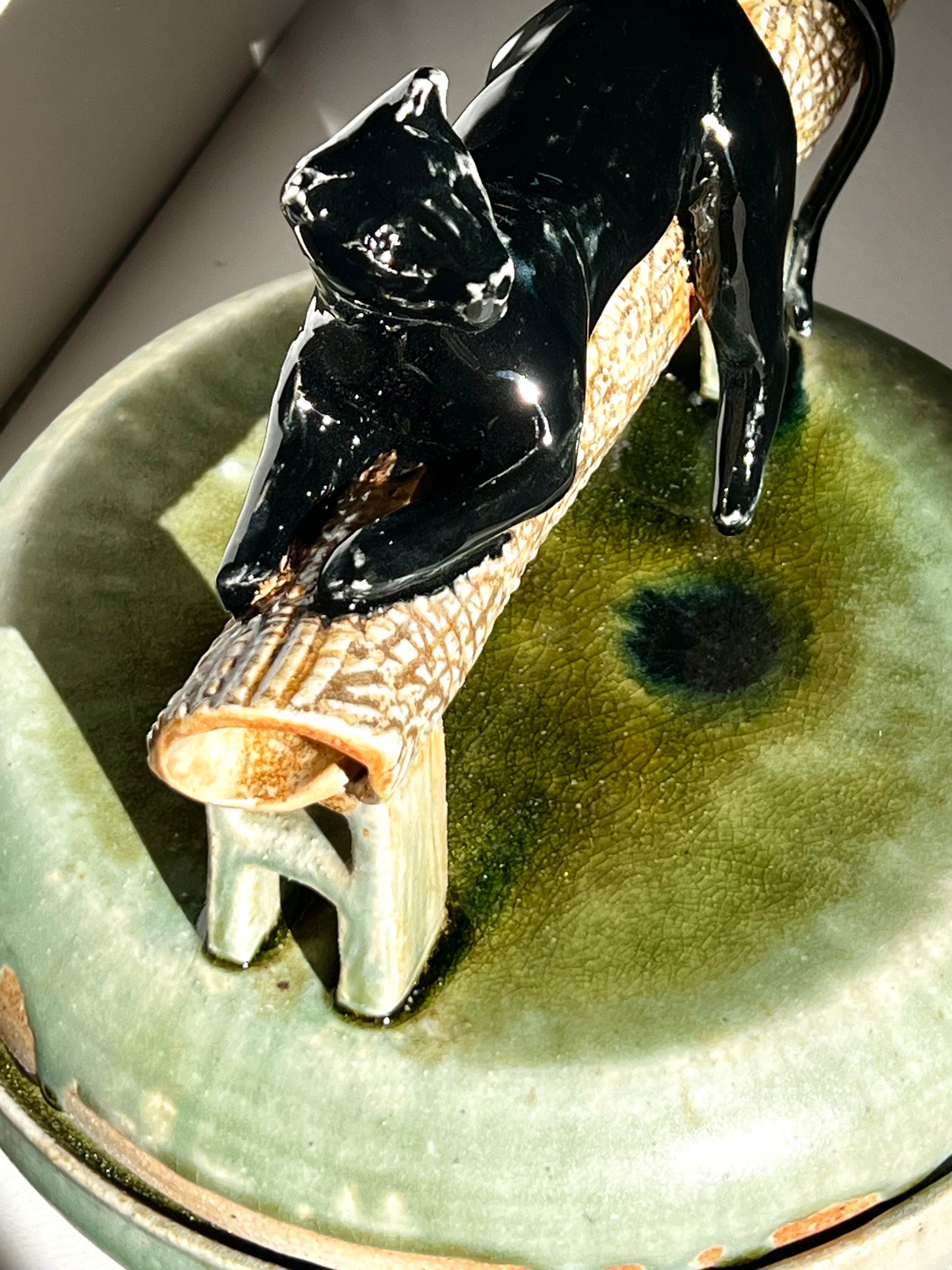 Cats, Claws and Casseroles