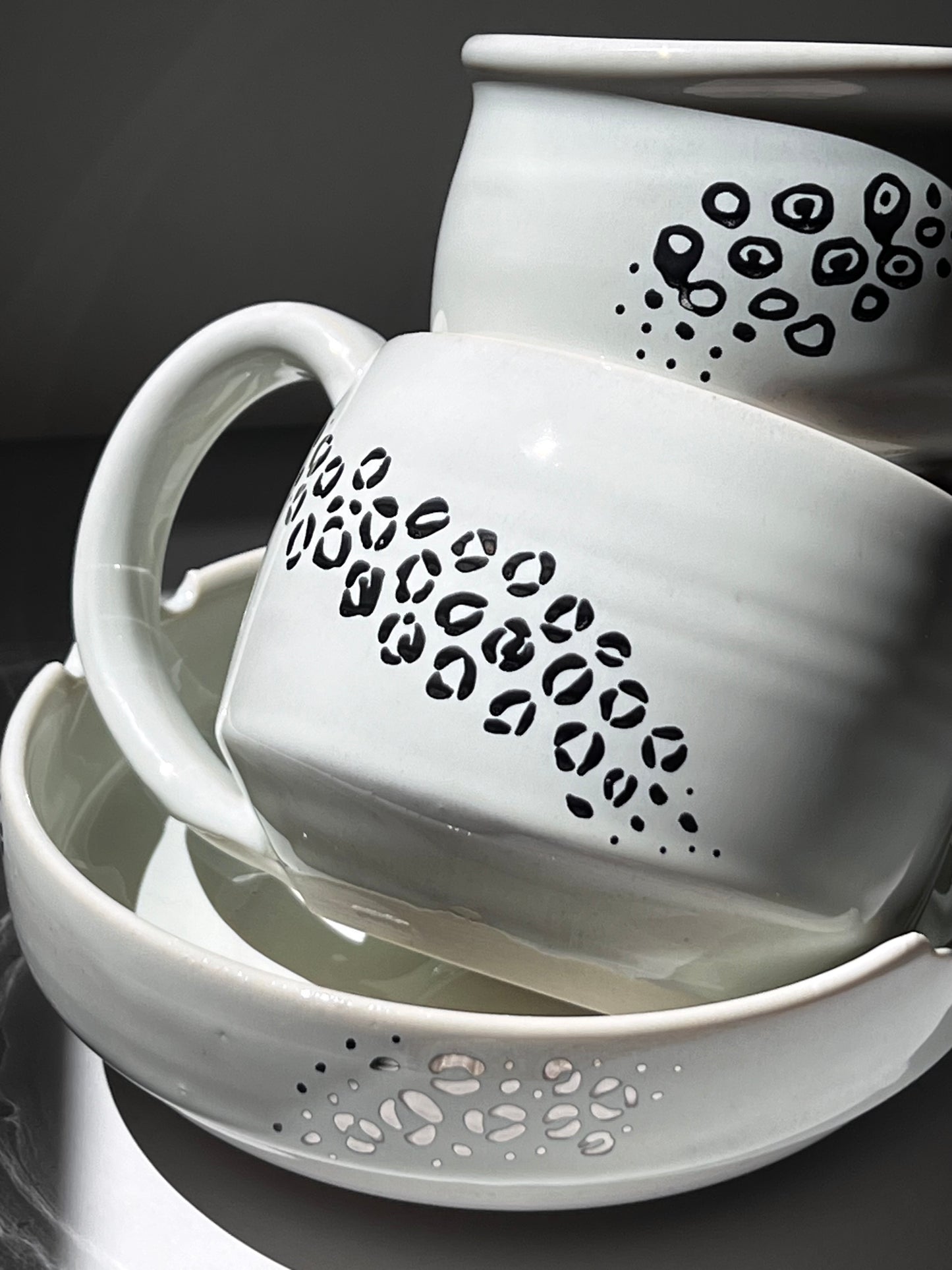 The Snow Leopard Set