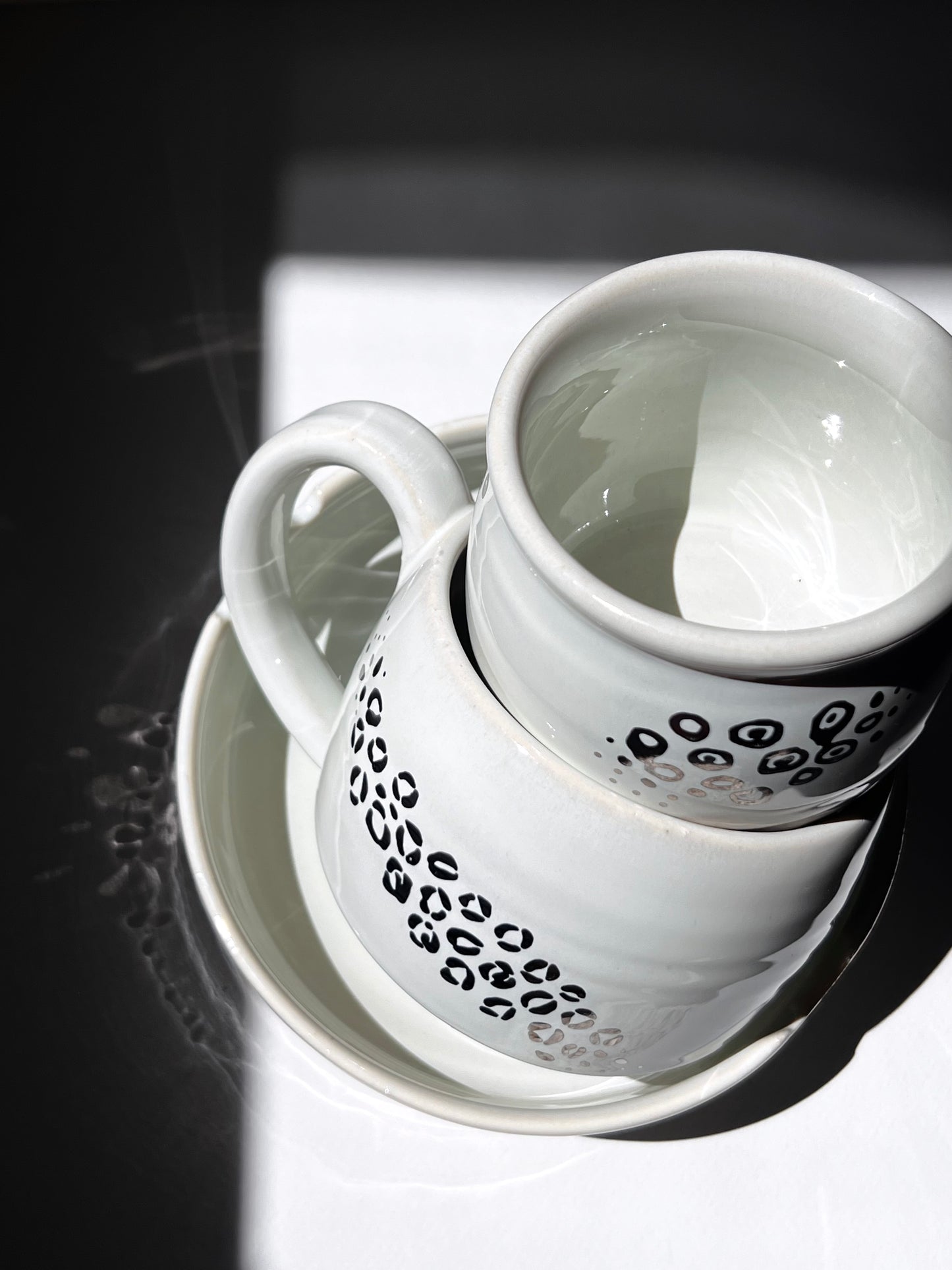The Snow Leopard Set