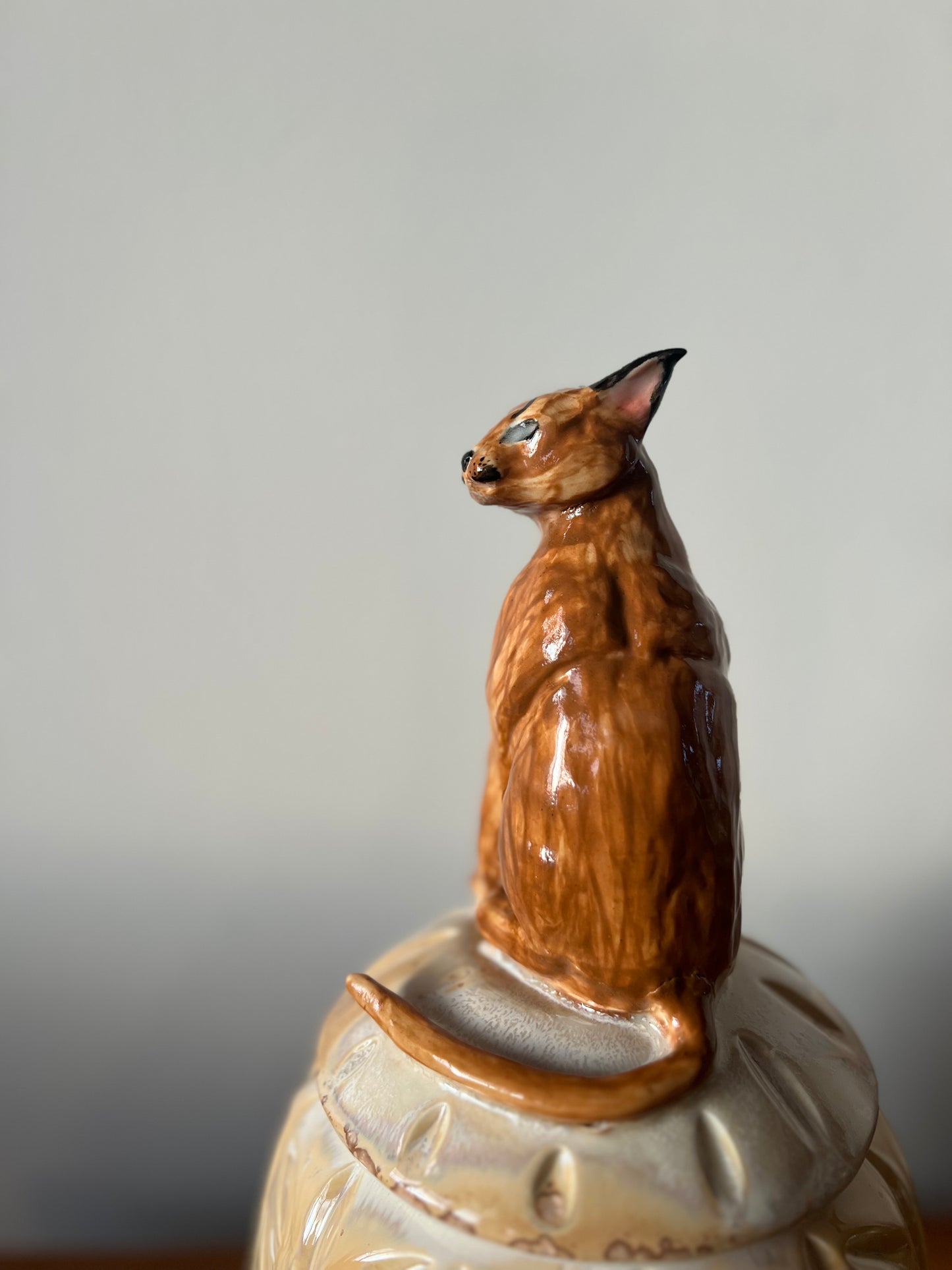 Savannah Watcher-the Caracal