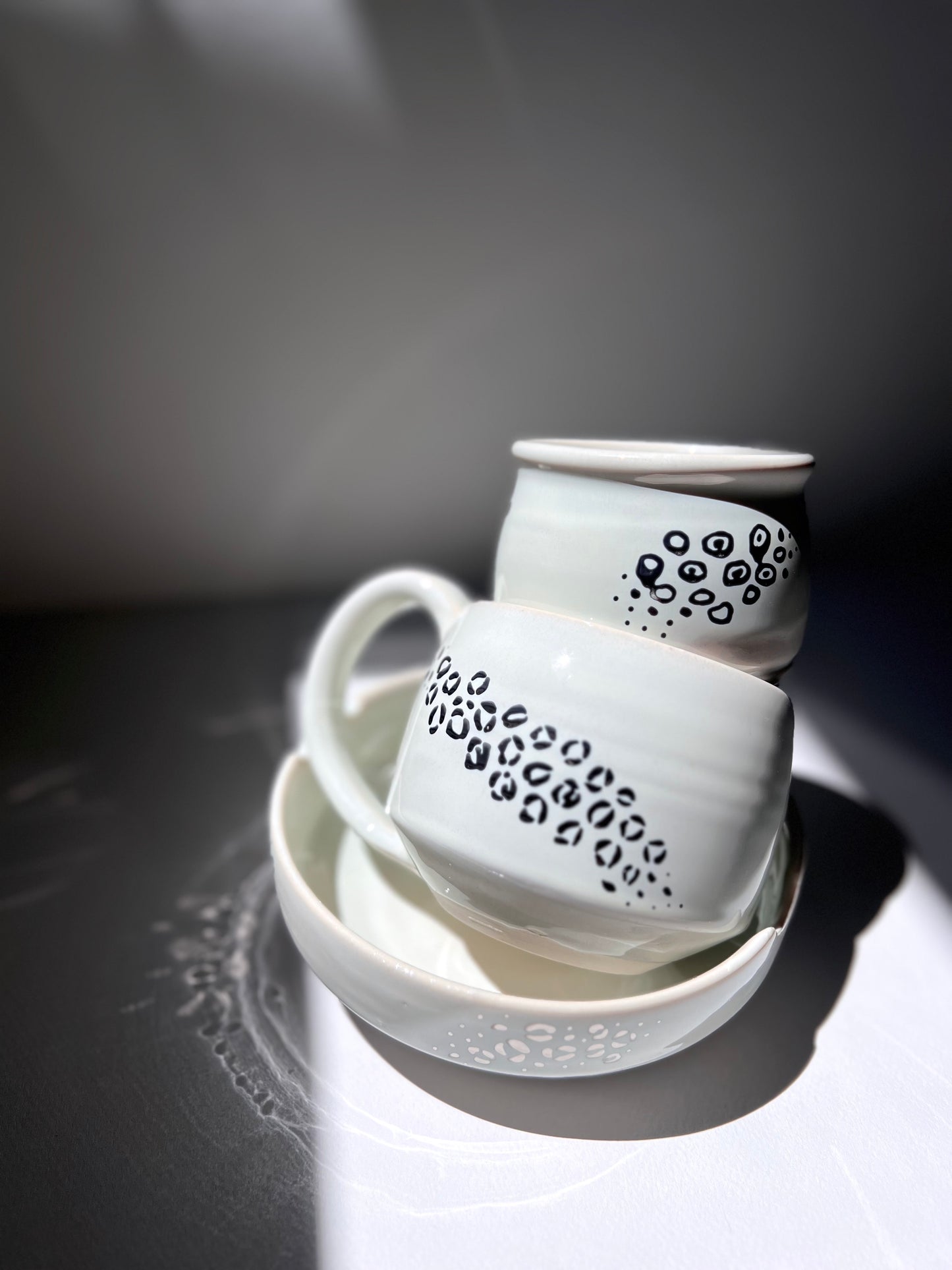 The Snow Leopard Set