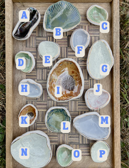 Shell Ring Dishes