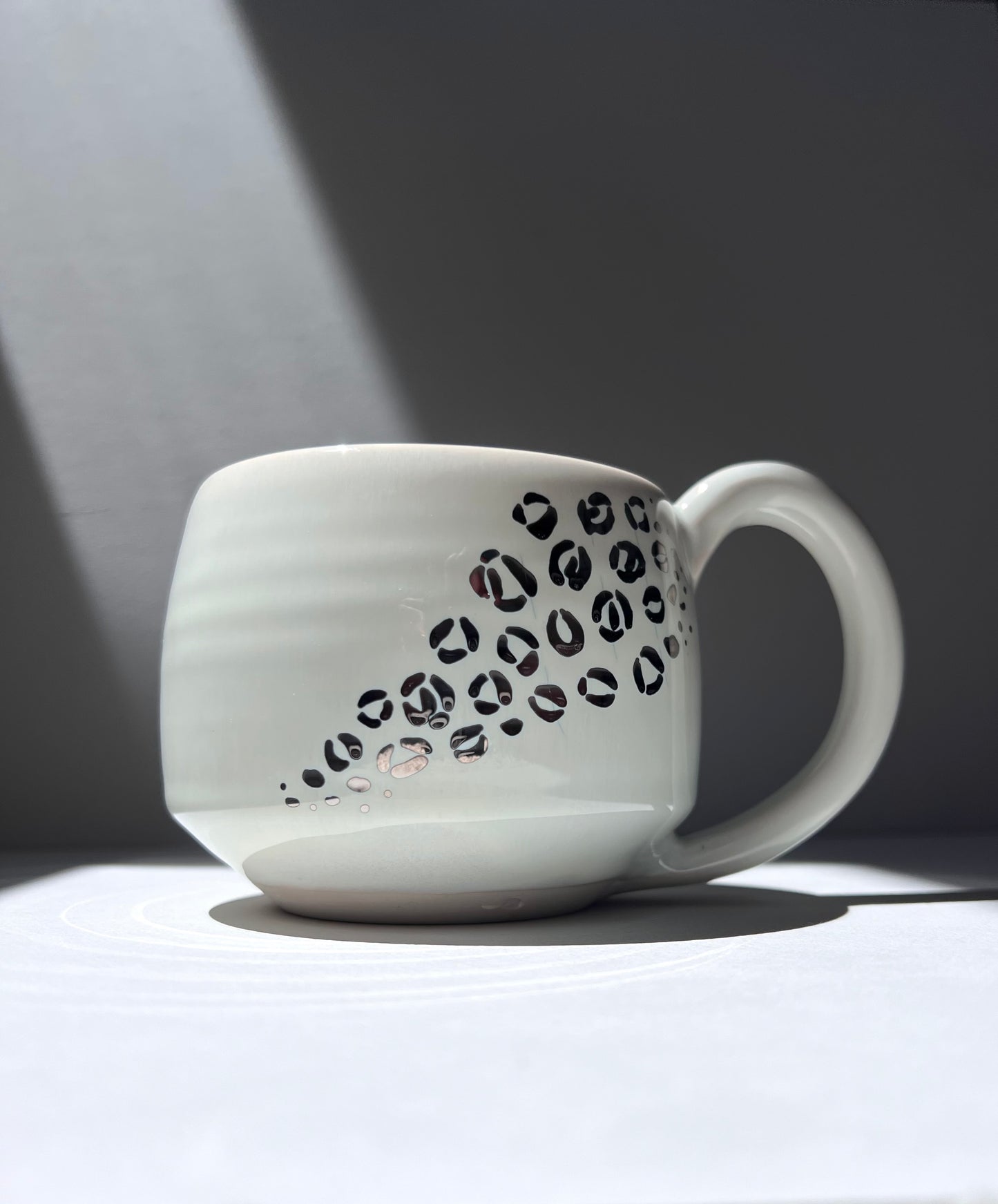 The Snow Leopard Set