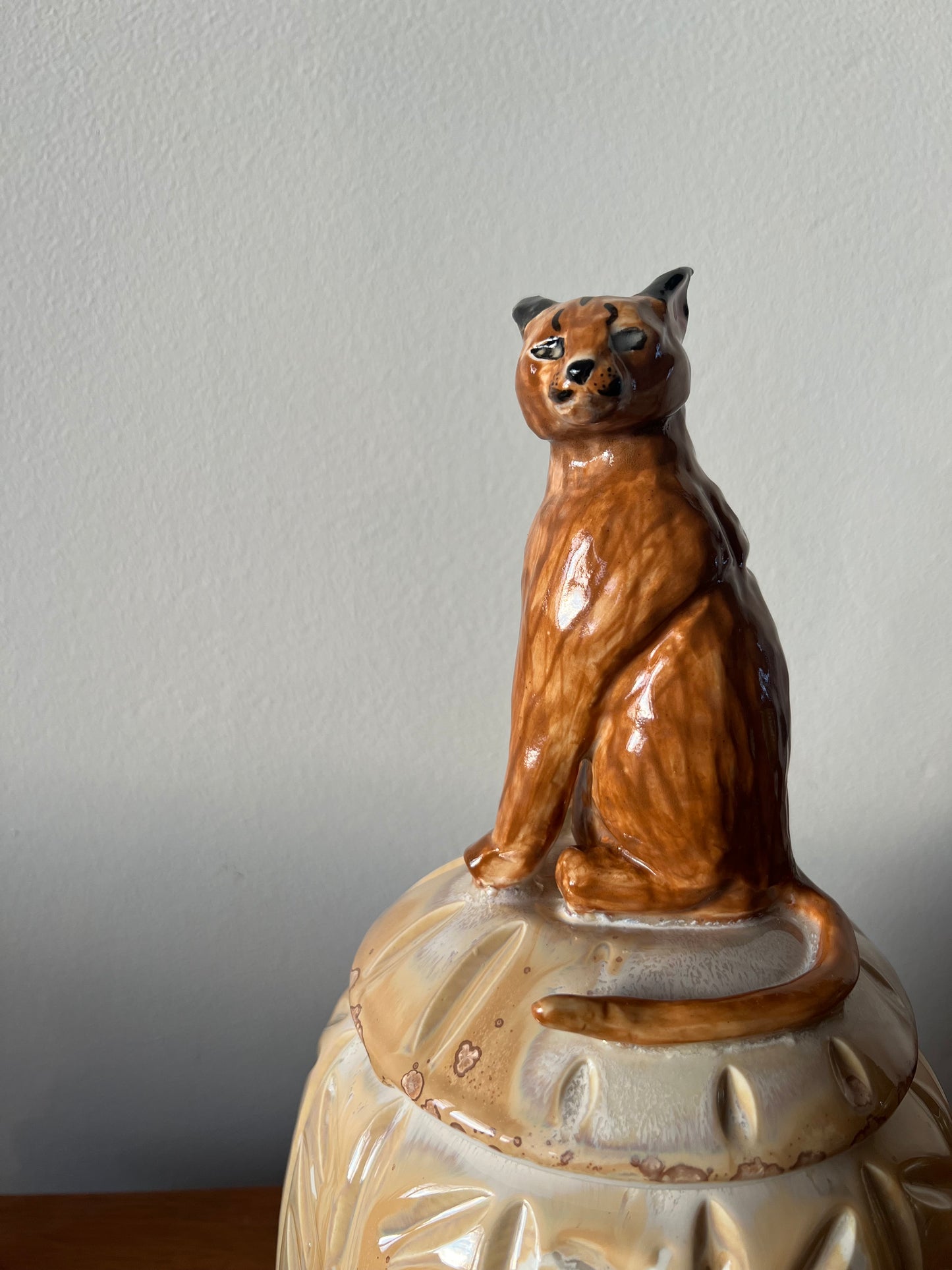 Savannah Watcher-the Caracal