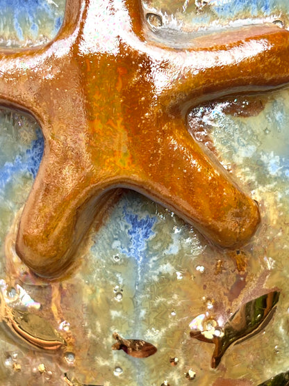 Sea Star Wonder Vase