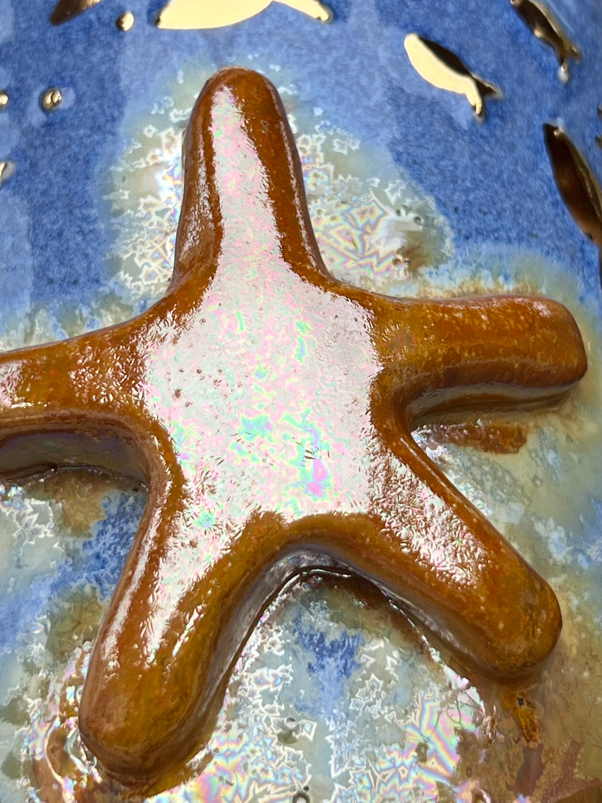 Sea Star Wonder Vase