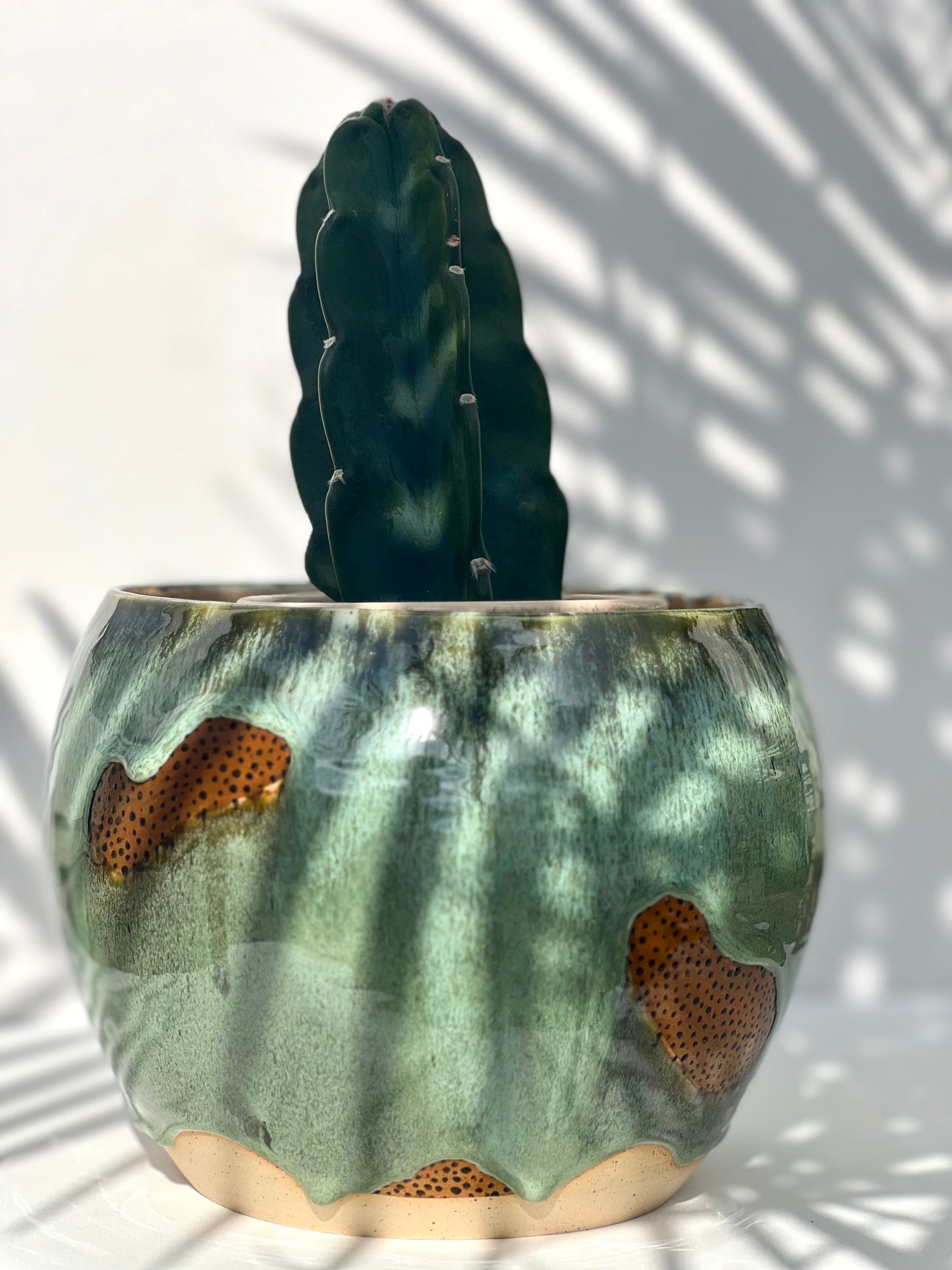 Cheetah Print Planter